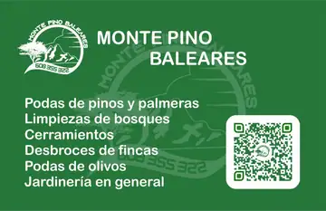MONTE PINO BALEARES MONTE PINO BALEARES