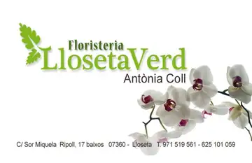Floristeria Lloseta Verd Floristeria Lloseta Verd